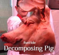 BunHole : Decomposing Pig